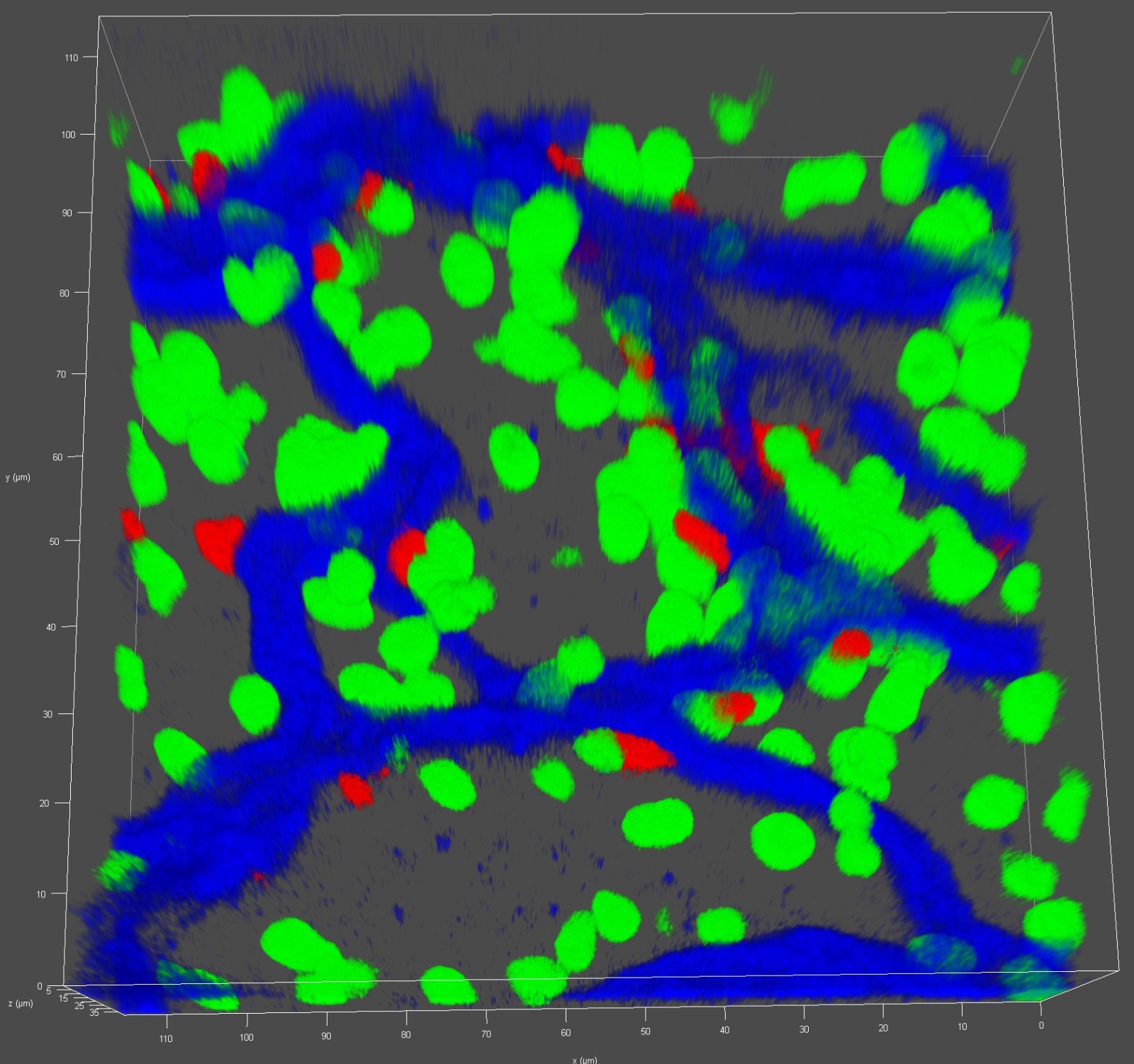 reserch3.jpg reserch3.jpg